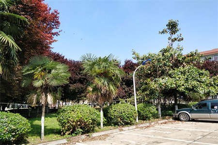 繁荣广场74平套二房，42.8万